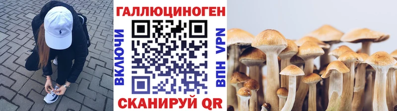 Галлюциногенные грибы Cubensis Белгород