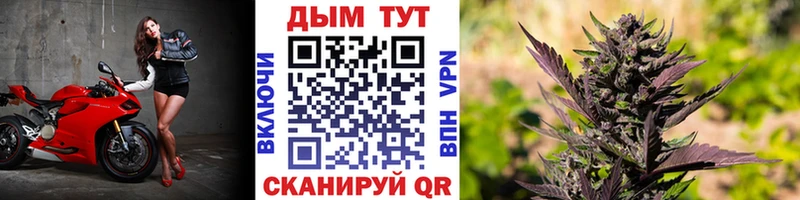 Конопля индика  площадка как зайти  Белгород  купить наркотик 